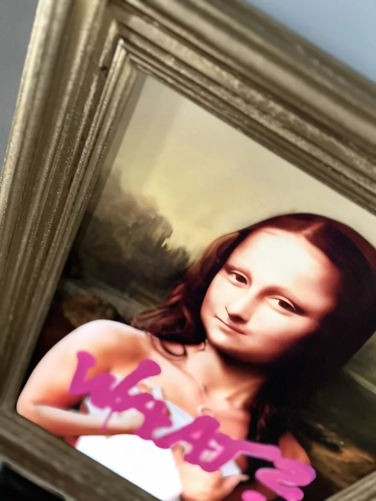 Mona Mona What von der Seite, Rahmenprofil und Motiv
